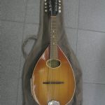 509 7620 Mandolin